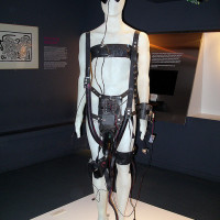 teledildonicevolution